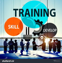 培訓(xùn)技能、開發(fā)能力與專業(yè)知識(shí) 技術(shù)咨詢中的核心概念