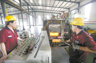 武強 技術(shù)開發(fā)領(lǐng)域的璀璨新星與未來展望