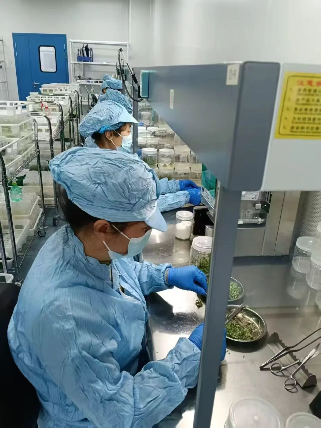 深耕鹽堿地 打造特色產(chǎn)業(yè)高質(zhì)量發(fā)展新引擎——黃河三角洲農(nóng)業(yè)高新技術(shù)產(chǎn)業(yè)示范區(qū)推動鹽堿地特色產(chǎn)業(yè)發(fā)展綜述