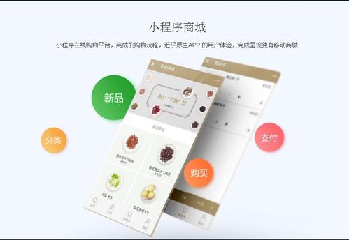微信商城小程序上線后，如何運用技術手段高效推廣產品